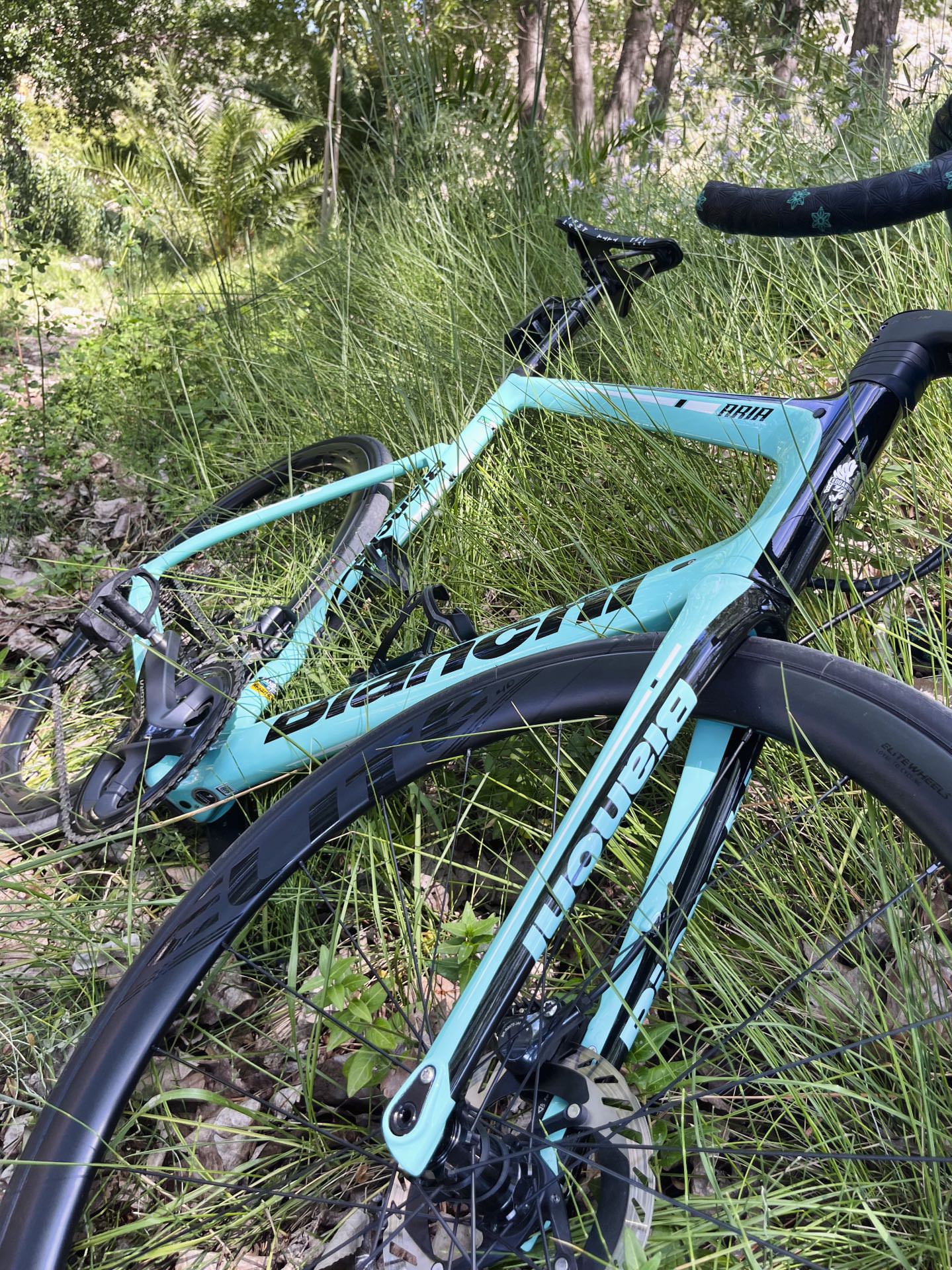 Primer plano de una bicicleta de carbono Bianchi Aria apoyada en la hierba durante un descanso en una ruta ciclista por Alicante